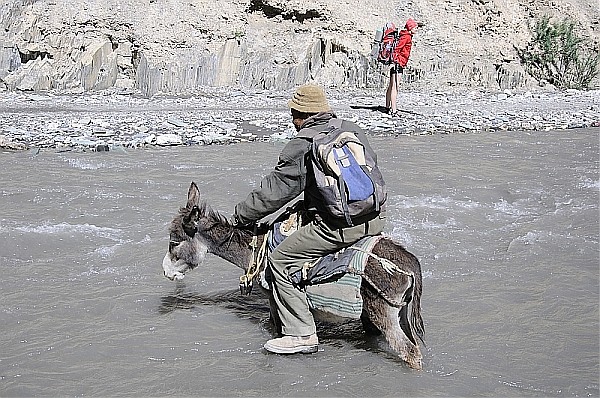 dolina Markha Himalaje ladakhu