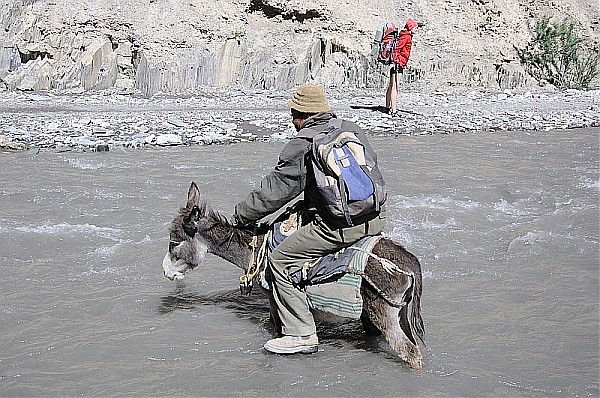 dolina Markha Himalaje ladakhu